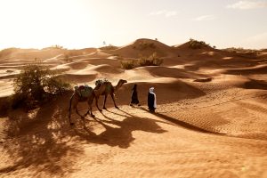 Deserts In uae